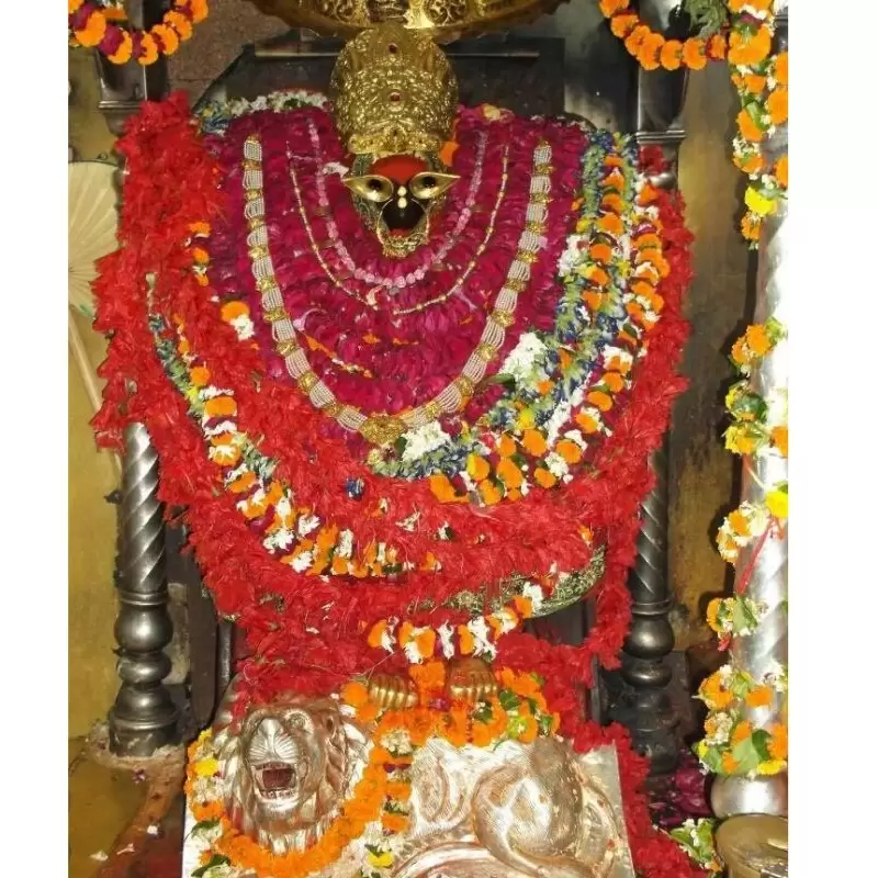 Package Image