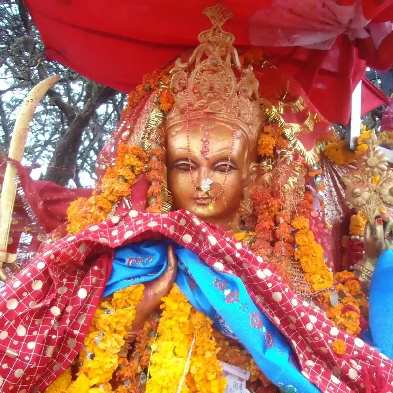 Package Image